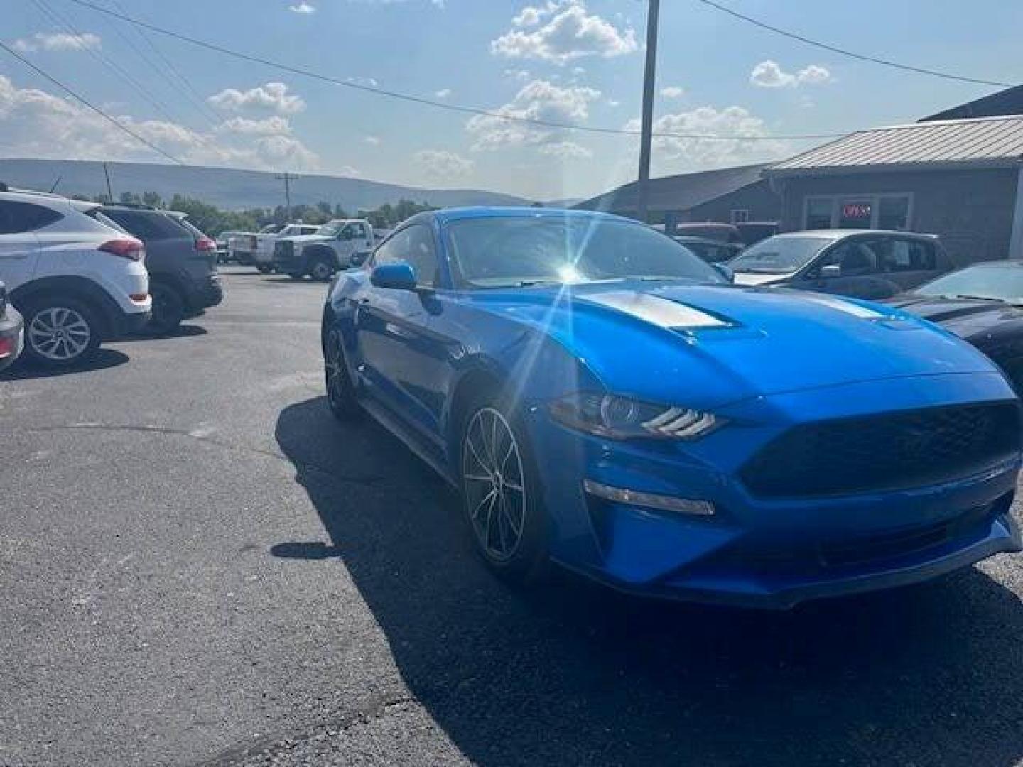 2020 Blue Ford Mustang (1FA6P8TH4L5) with an 2.3L I4 Turbocharger 2.3L I4 engine, located at 4845 Woodbury Pike, Roaring Springs, PA, (814) 317-5008, (814) 317-5008, 40.250935, -78.366959 - Photo#1