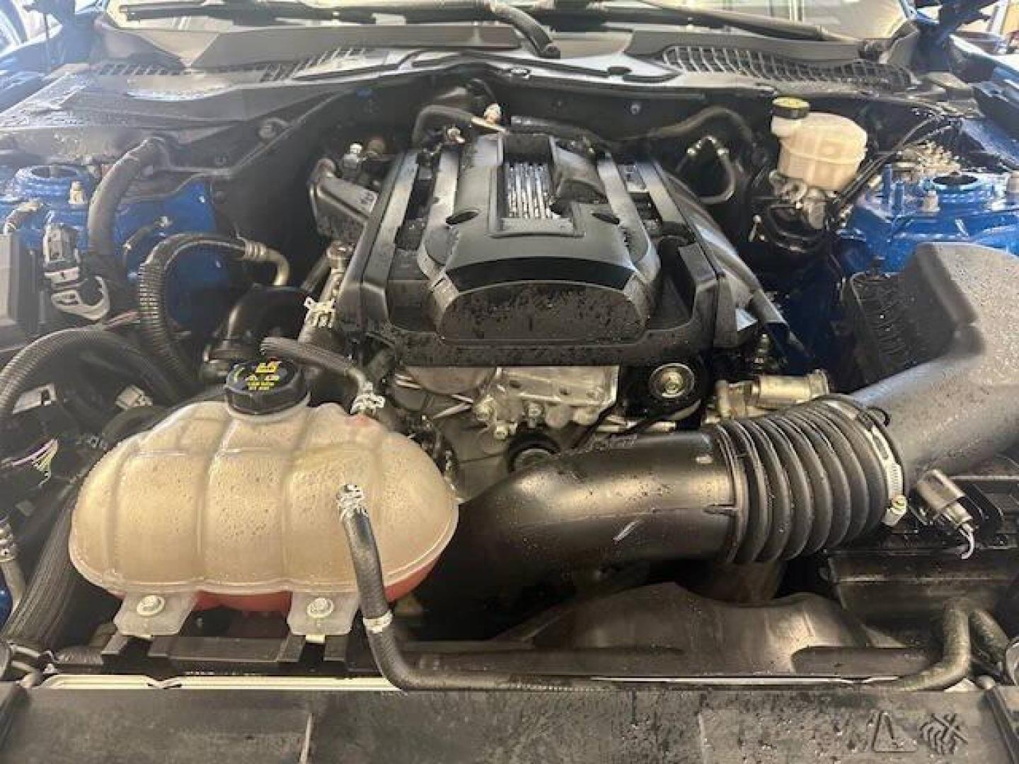 2020 Blue Ford Mustang (1FA6P8TH4L5) with an 2.3L I4 Turbocharger 2.3L I4 engine, located at 4845 Woodbury Pike, Roaring Springs, PA, (814) 317-5008, (814) 317-5008, 40.250935, -78.366959 - Photo#6