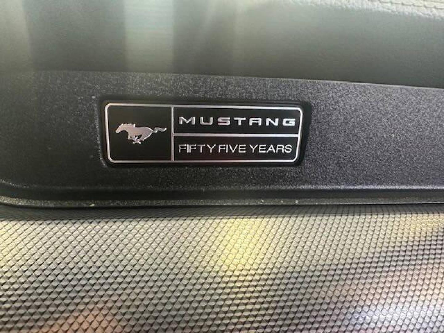 2020 Blue Ford Mustang (1FA6P8TH4L5) with an 2.3L I4 Turbocharger 2.3L I4 engine, located at 4845 Woodbury Pike, Roaring Springs, PA, (814) 317-5008, (814) 317-5008, 40.250935, -78.366959 - Photo#7